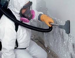 Mold Odor Removal Services in Nogales, AZ